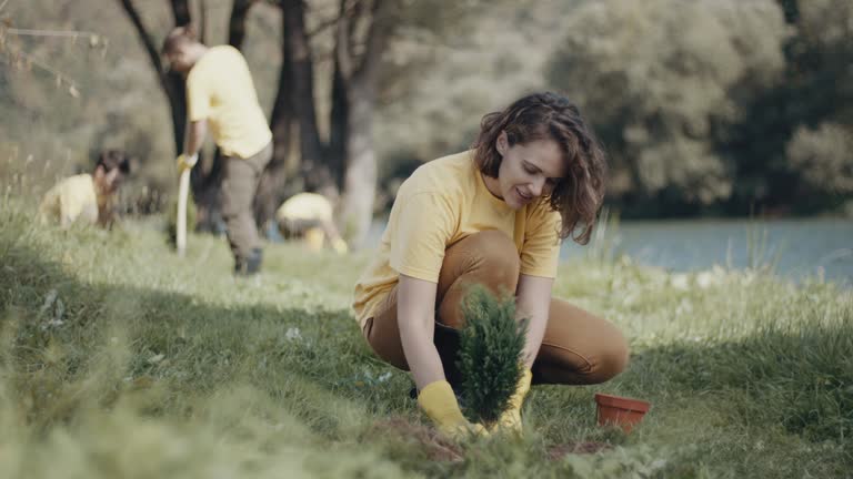 Best Lawn Irrigation Installation and Maintenance  in Arnold, CA