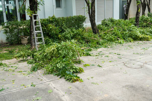 Best Weed Control  in Arnold, CA